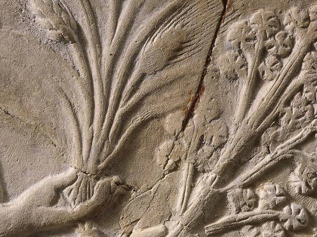 The Folklore Of Plants The Folklore Of Plants