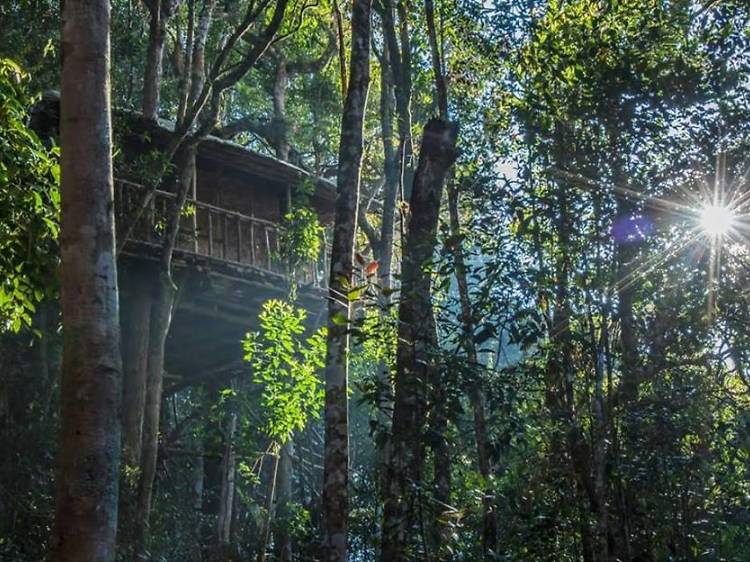 Best Treehouse Retreats In Malaysia