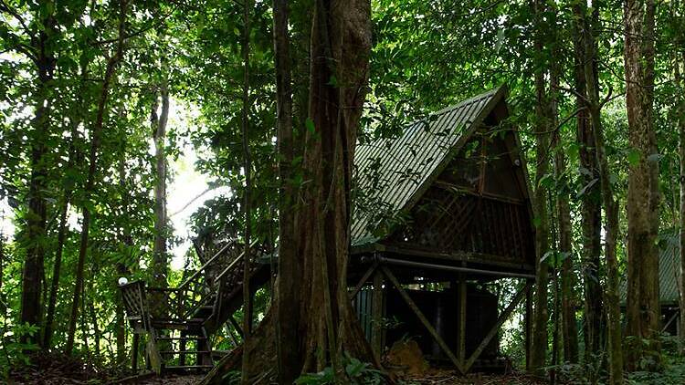 Tungog Rainforest Eco Camp