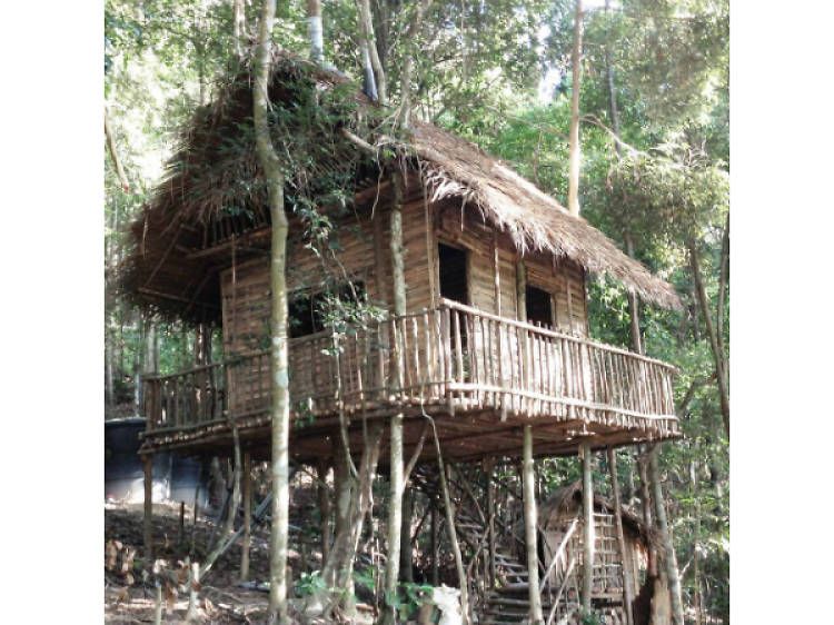 Best Treehouse Retreats In Malaysia