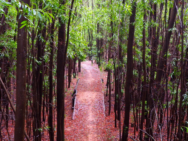 malveira da serra malveira da serra