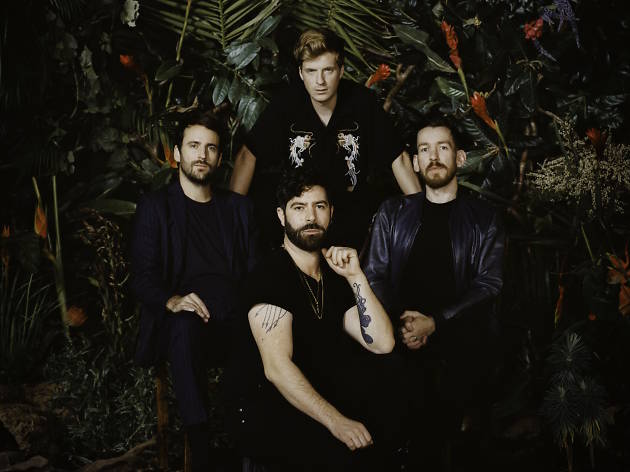 Foals Foals