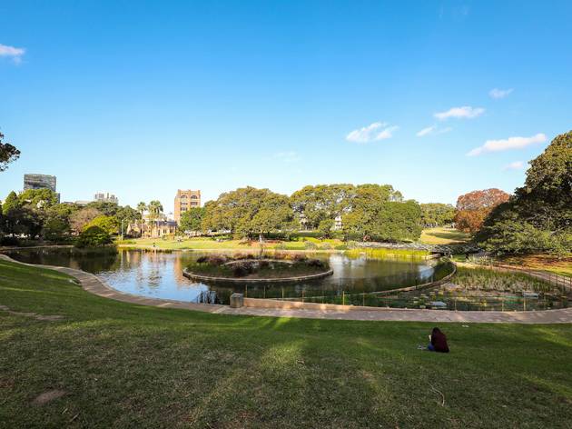 Victoria Park 2018 Wetlands at Victoria Park, Sydney
