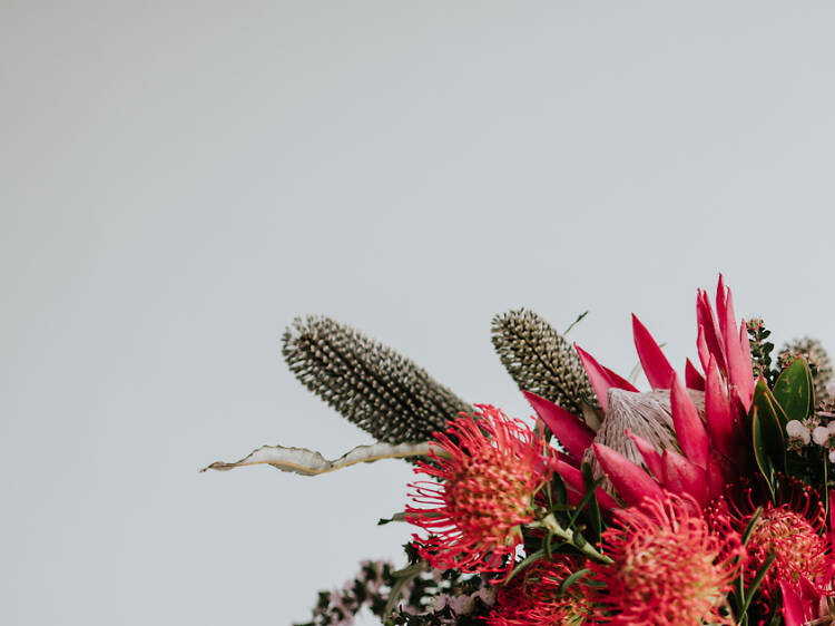 White House Flowers