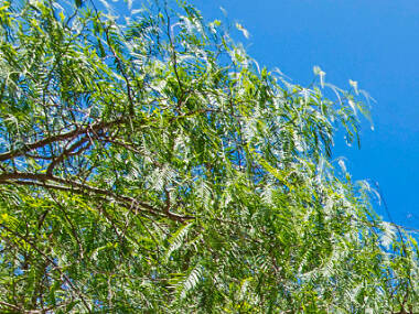 The best Lošinj hotels The best Lošinj hotels