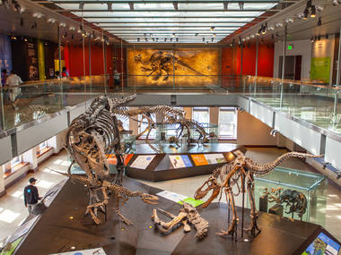 Natural History Museum Natural History Museum