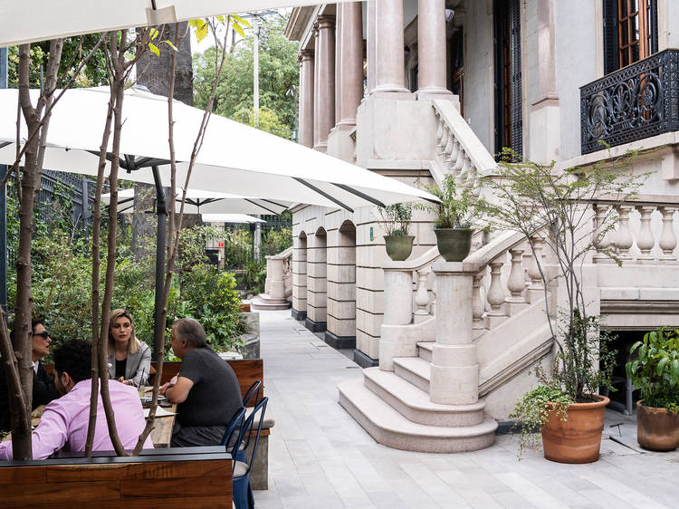 Las mejores cafeterías con terraza en la CDMX