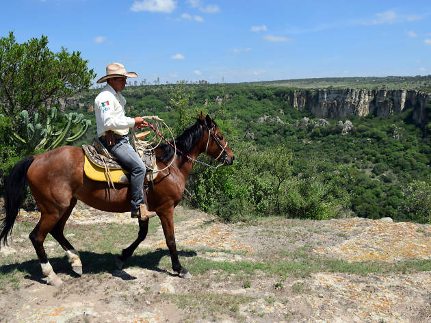 Recorrido en Caballo por el Coyote Canyon Recorrido sobre caballo en San Miguel de Allende, una experiencia de ecoturismo