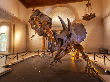 Natural History Museum Natural History Museum