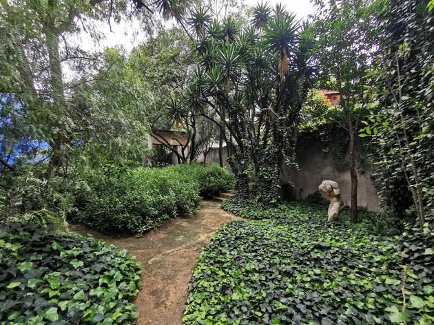 Jardín 17 Casa Barragán Jardín 17 Casa Barragán