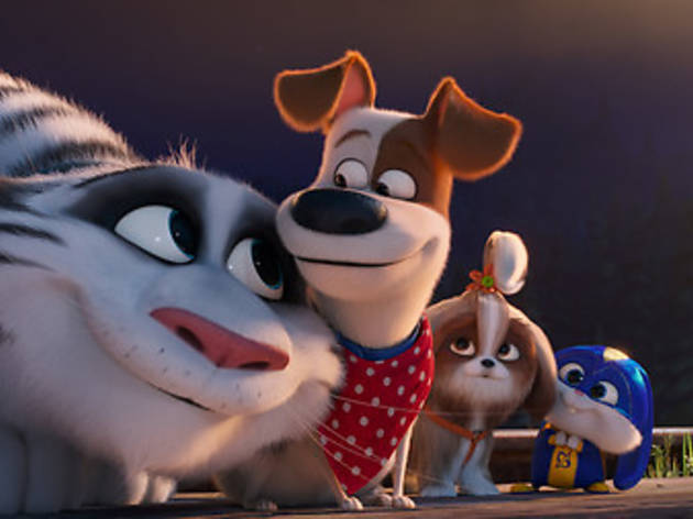 Mascotas 2 Mascotas 2