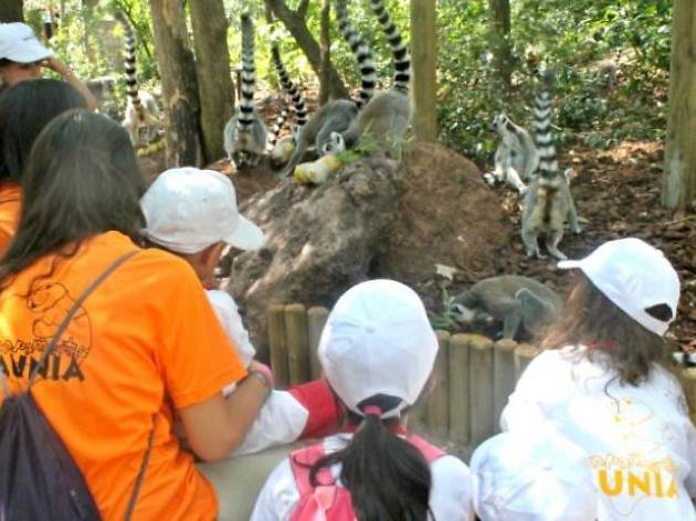 Faunia - Campamento de verano Faunia - Campamento de verano