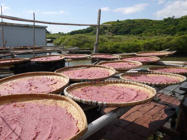 shrimp paste shrimp paste