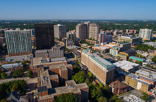 Best Things to Do in Evanston for a Perfect Visit