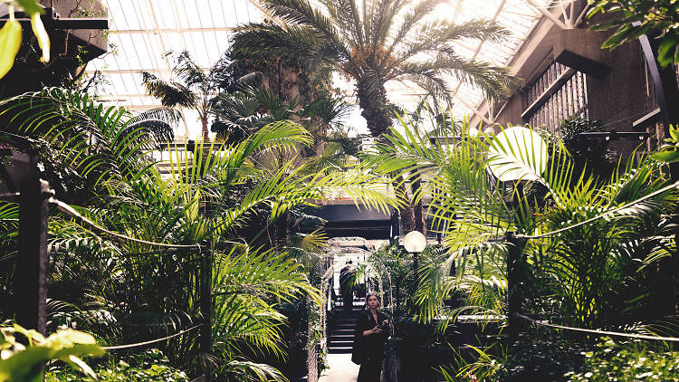 The Barbican Conservatory is opening on Saturdays for the first time – and there’ll be a bar