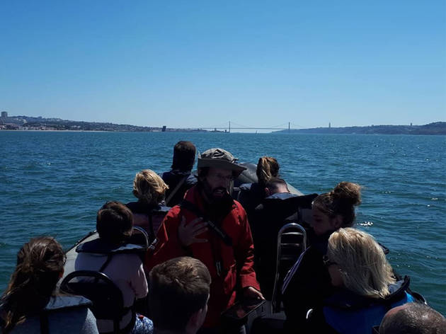 Sea OE Tours Sea OE Tours