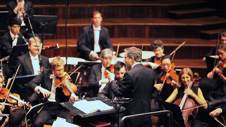 A conductor is conducting an orchestra, his back facing us and the musicians watching him. 