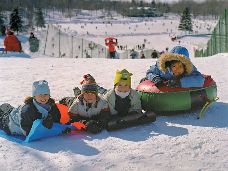 Activités hivernales sur le Mont-Royal