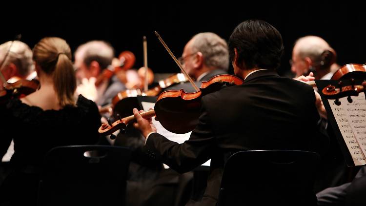 Orchestra