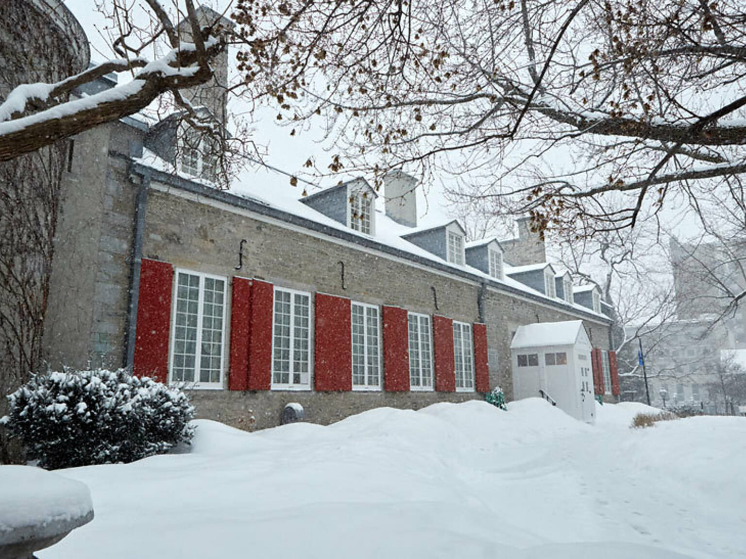 Where to See Christmas Lights in Montreal for the Winter Holidays