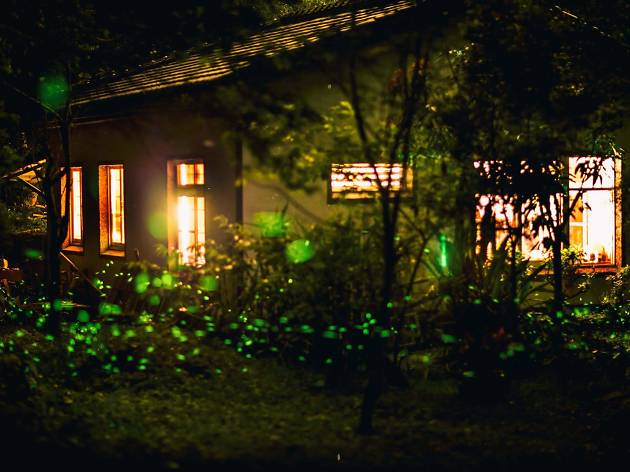 阿里山森居 metsä mökki 阿里山森居 metsä mökki