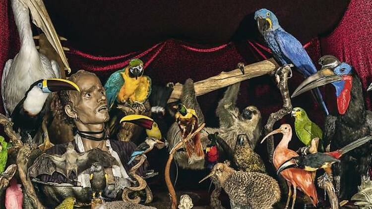 UK | The Viktor Wynd Museum of Curiosities, Fine Art & Natural History