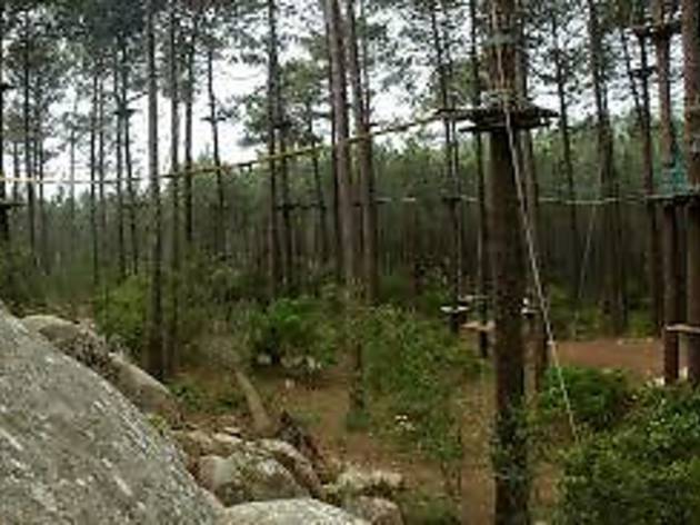 Pedra Amarela Pedra Amarela