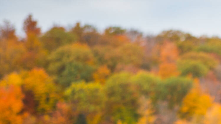 Les 15 meilleures escapades de fin de semaine de Montréal