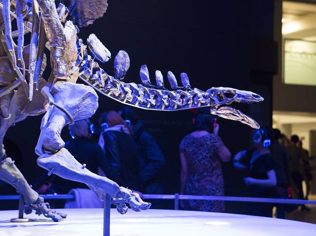 Natural History Museum Lates Natural History Museum Lates
