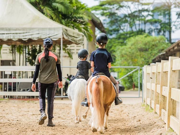 National Equestrian Centre