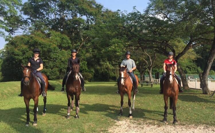 Bukit Timah Saddle Club