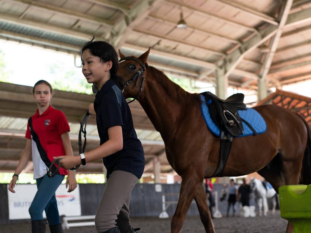 The Best Stables To Learn Horse Riding in Singapore
