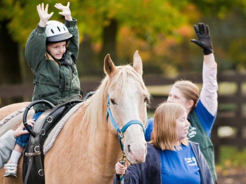 The Best Stables To Learn Horse Riding in Singapore