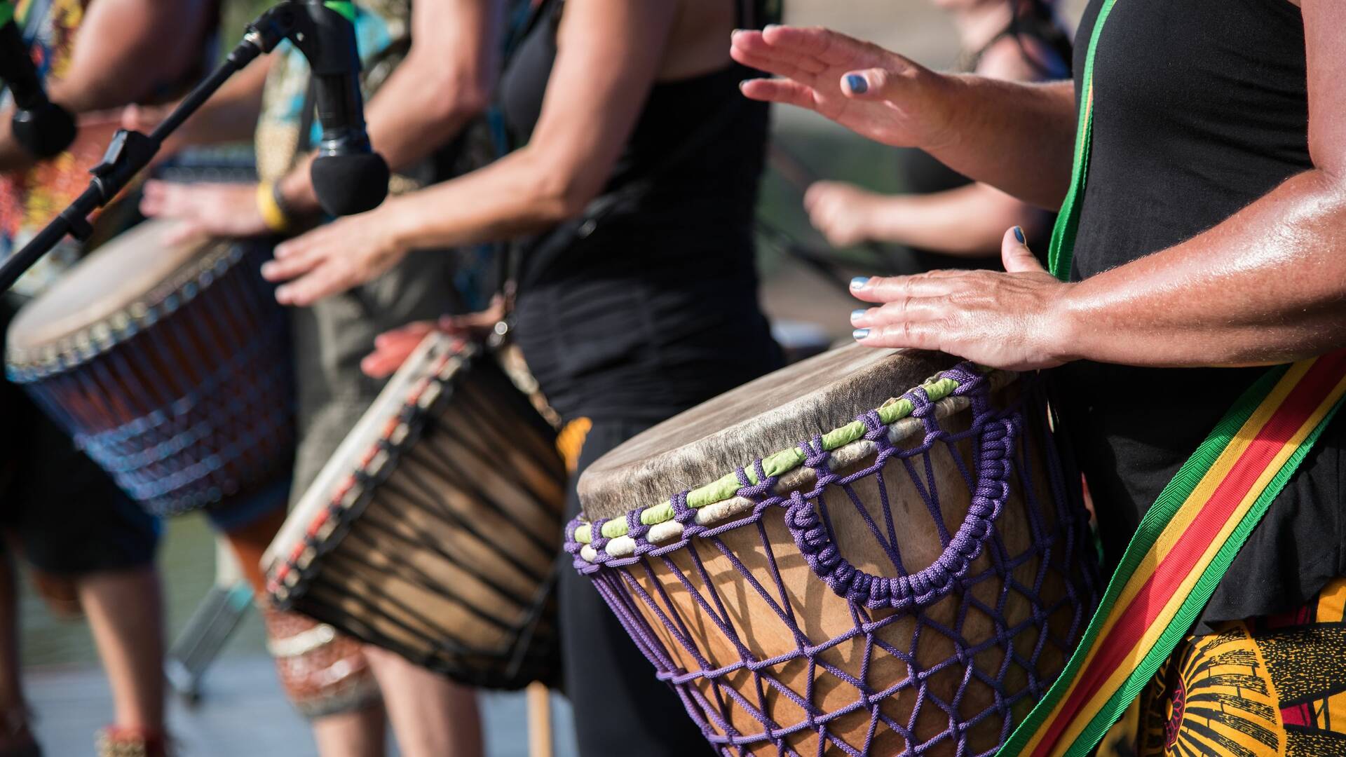 African Festival of the Arts Things to do in Chicago