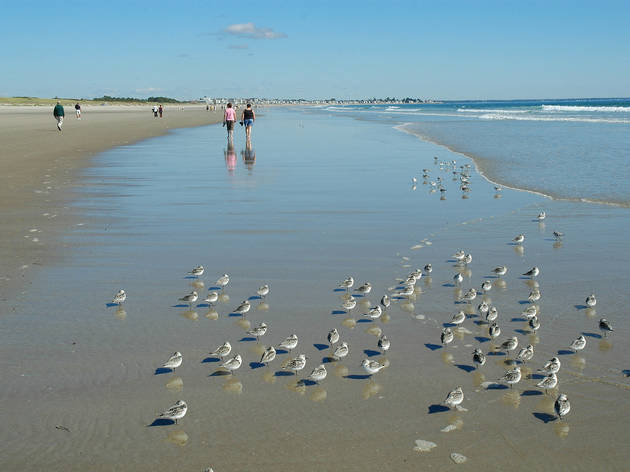 Ogunquit Beach Ogunquit Beach