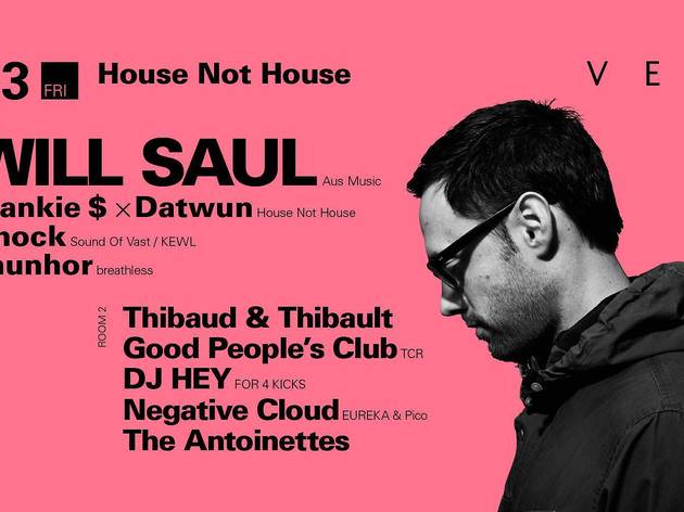 House Not House "Will Saul" House Not House "Will Saul"