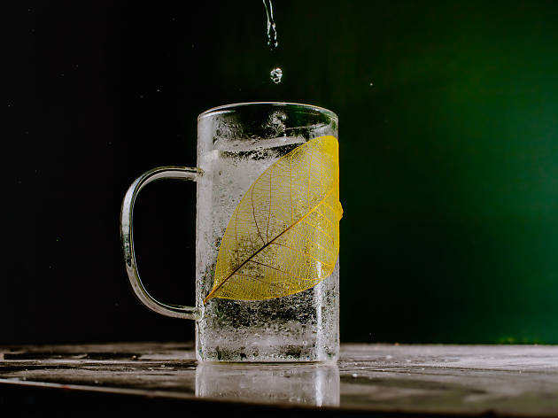 tell camellia t tonic tell camellia t tonic