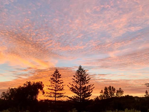 Cottesloe sunset Cottesloe sunset