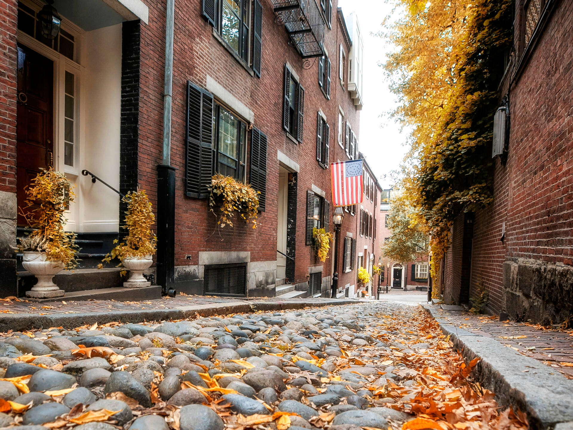 14 Places in Boston to See Fall Foliage for Gorgeous Fall Colors