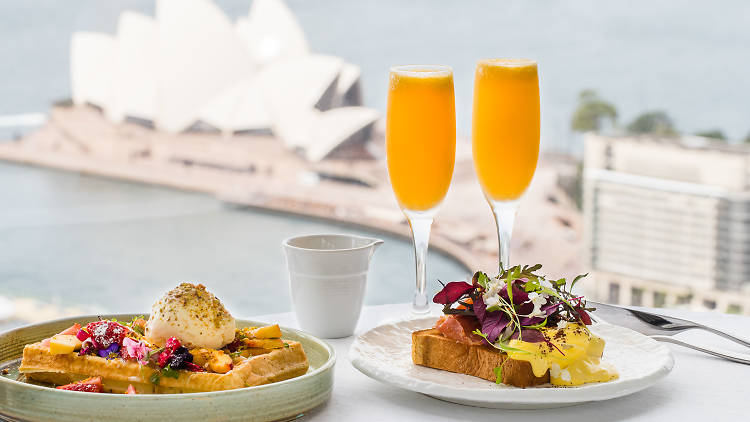 Breakfasts and Mimosas overlooking Sydney Harbour from Altitude at the Shangri-La Hotel.