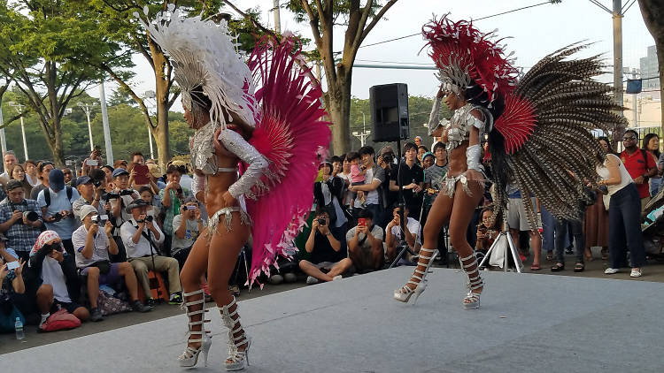 African American Caribbean Festival 2019