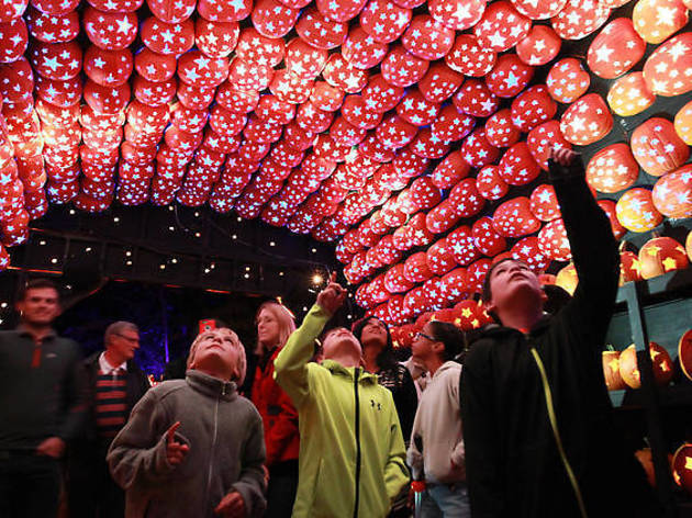 Tickets are now on sale for The Great Jack O’Lantern Blaze 2019 Tickets are now on sale for The Great Jack O’Lantern Blaze 2019