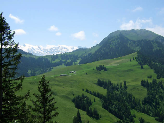 Wirzweli Witch Trail, Nidwalden, for hiking Zurich family feature Wirzweli Witch Trail, Nidwalden, for hiking Zurich family feature