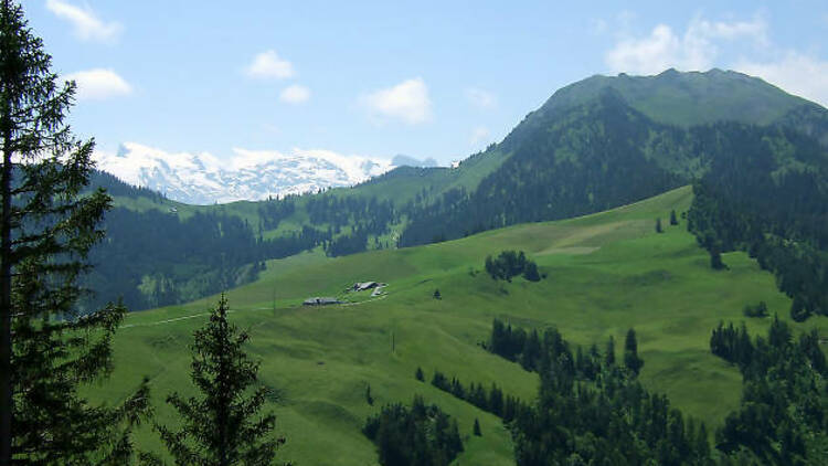 Wirzweli Witch Trail, Nidwalden