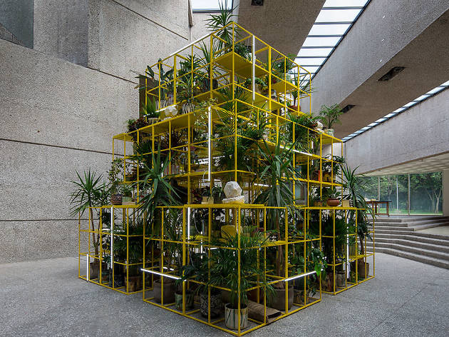 Rashid Johnson Los senderistas de Rashid Johnson en el Msueo Tamayo