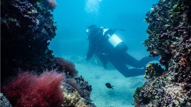 Diving Centre Poreč