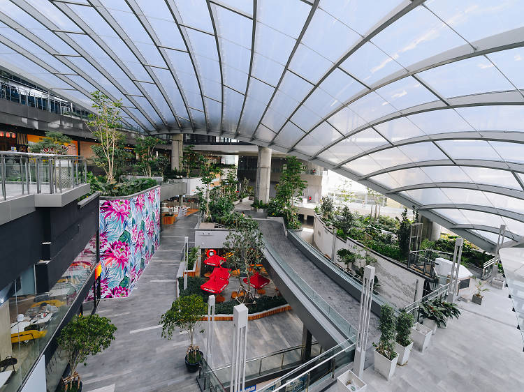 Breathe Clean Fresh Air At Bangkok s Green Lung Bang Krachao