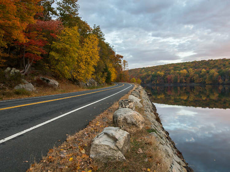 Scenic drives