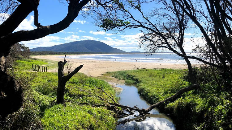 River and trees leading to the beach at Diamond Head Campground, Crowdy Bay National Park.