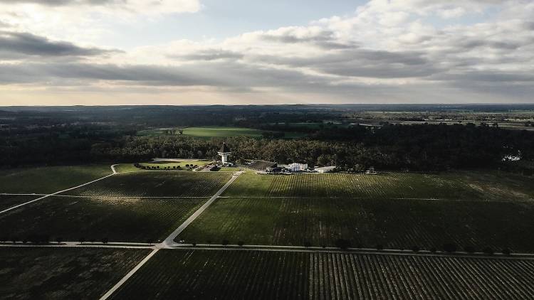 Aerial shot over Mitchelton Winery